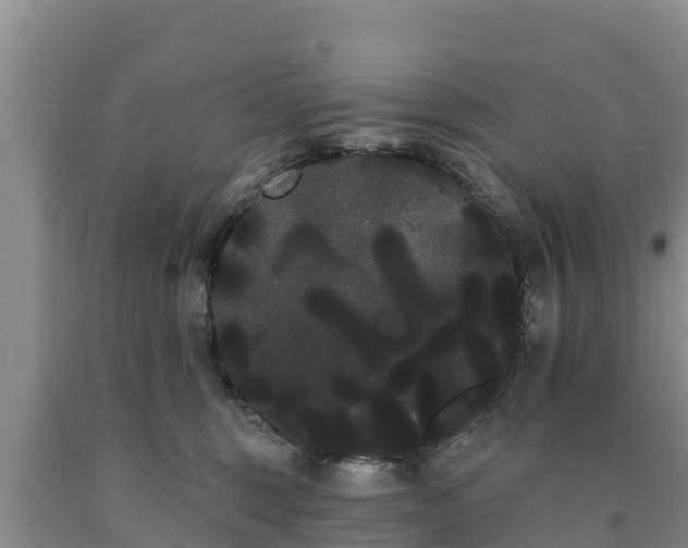 X0000090710375200707271136