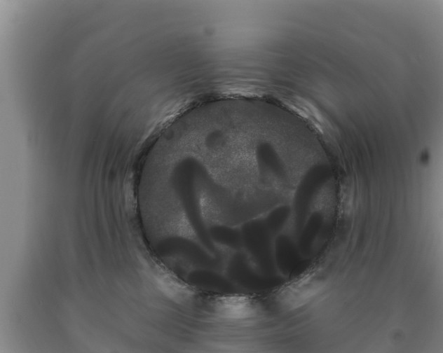 X0000090710377200707271136