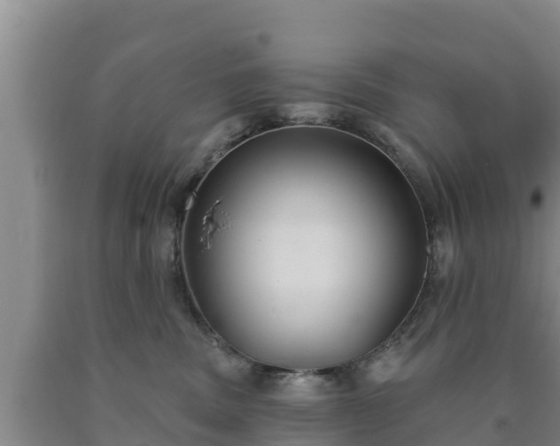 X0000090710379200707271136