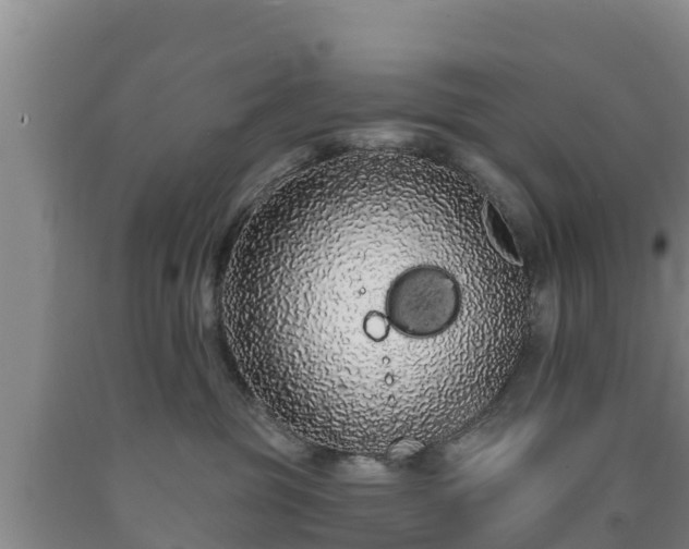 X0000090710381200707271136