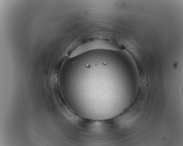 X0000090710382200707271136