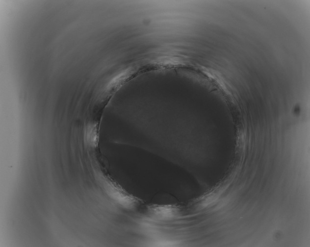 X0000090710383200707271136