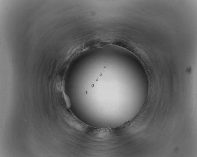 X0000090710384200707271136