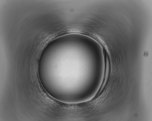 X0000090710385200707271136