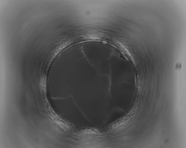 X0000090710386200707271136