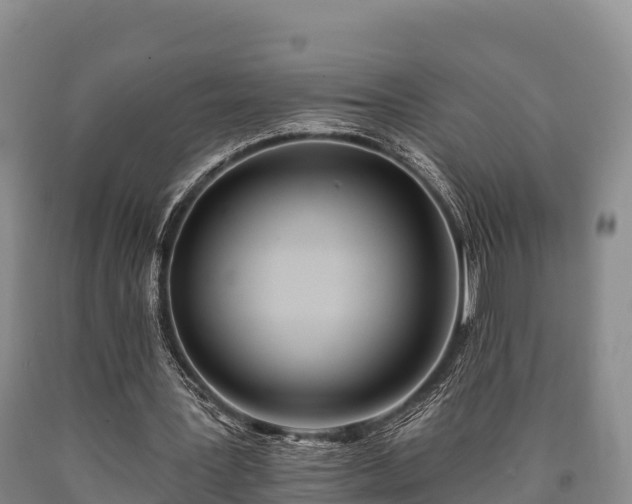 X0000090710387200707271136