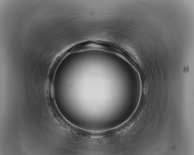 X0000090710388200707271136