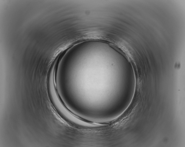 X0000090710389200707271136