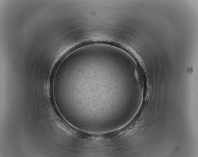 X0000090710391200707271136