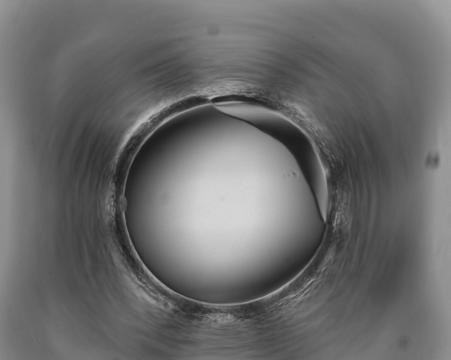 X0000090710392200707271136