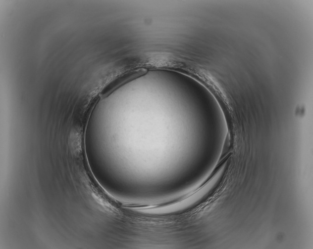 X0000090710393200707271136