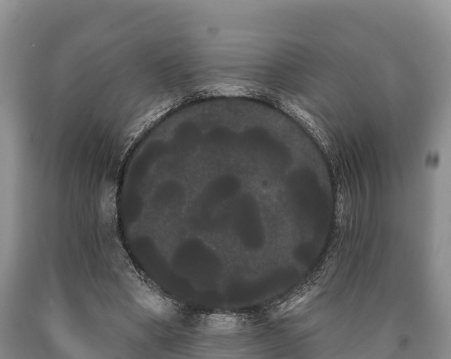 X0000090710394200707271135