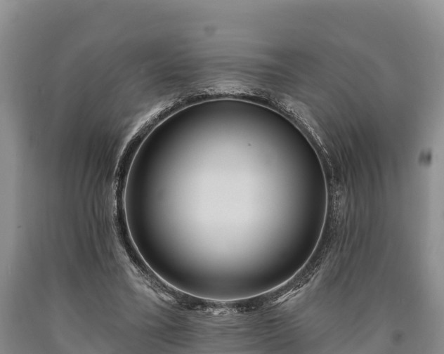 X0000090710395200707271135