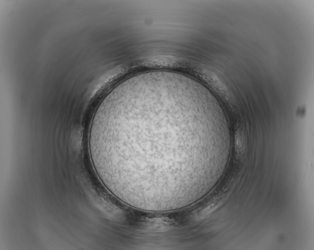 X0000090710396200707271135