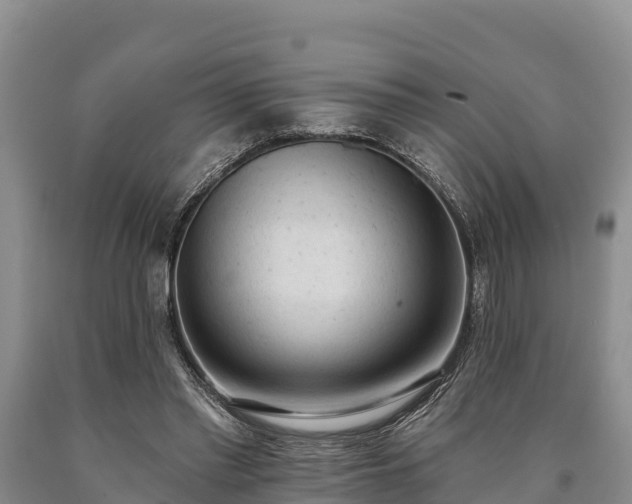 X0000090710397200707271135