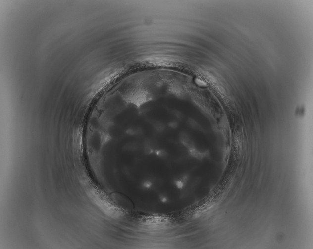 X0000090710398200707271135