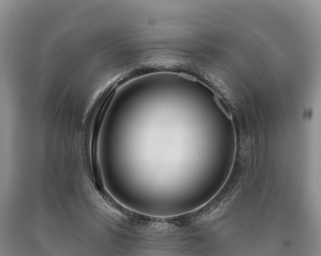 X0000090710399200707271135