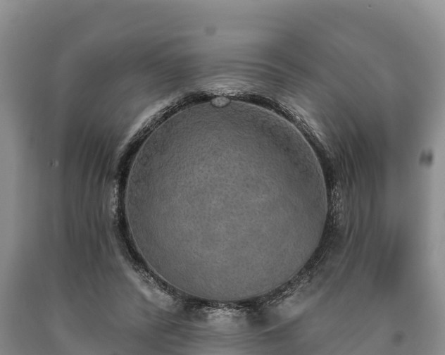 X0000090710400200707271135