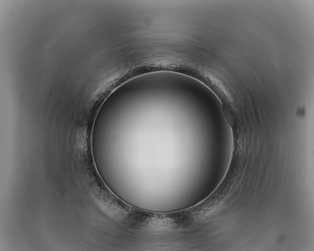 X0000090710403200707271135