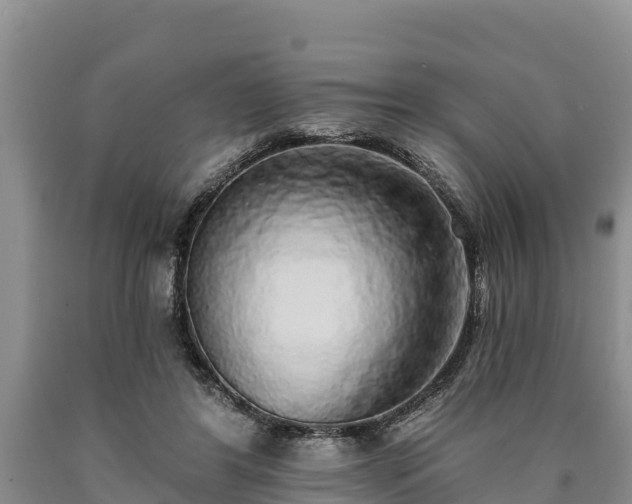 X0000090710404200707271135