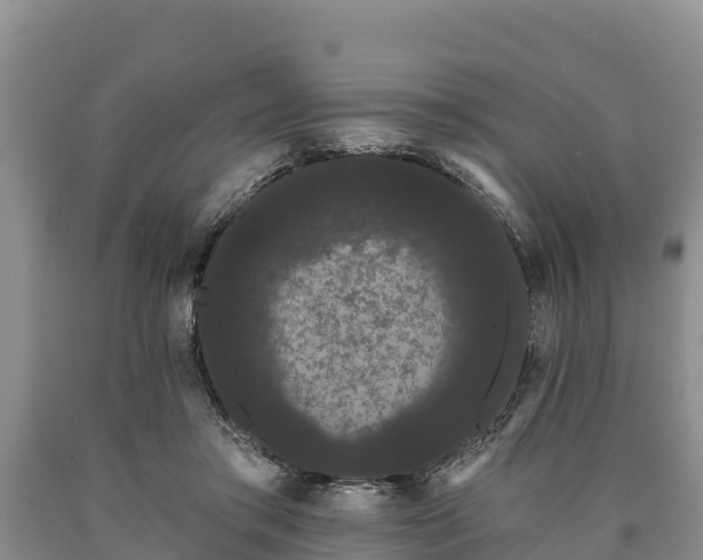 X0000090710405200707271135