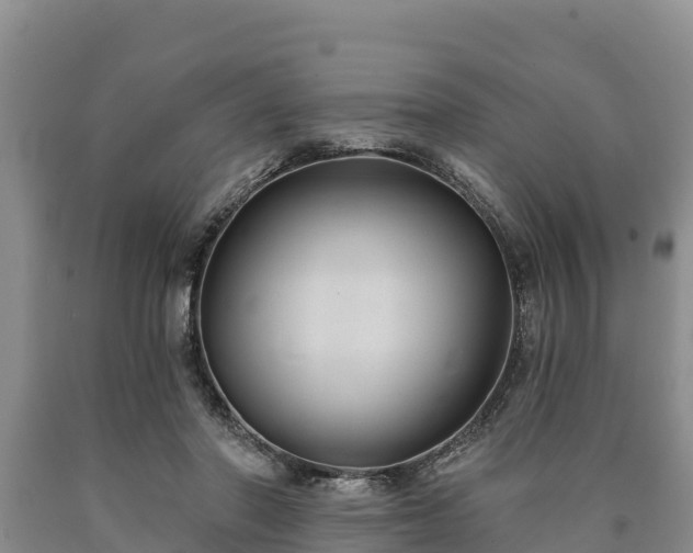 X0000090710406200707271135