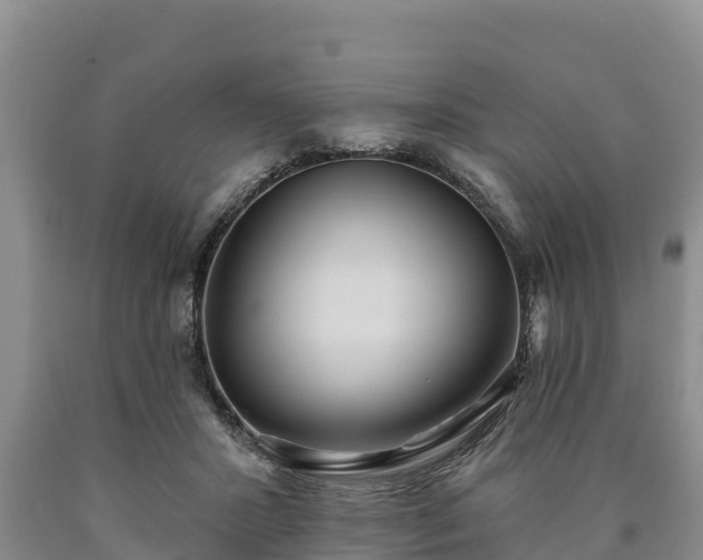 X0000090710407200707271135