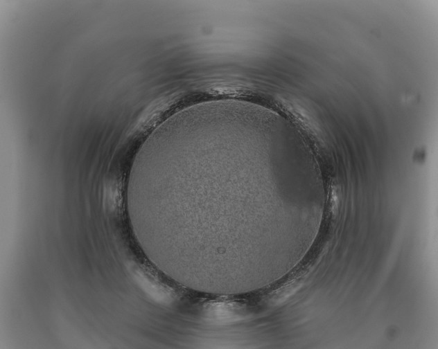 X0000090710408200707271135