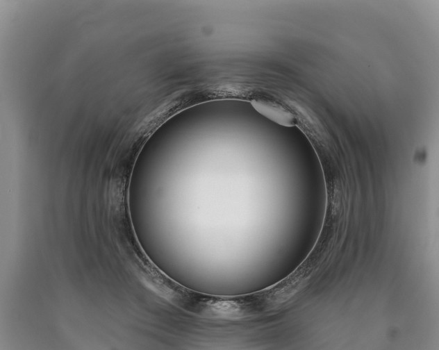 X0000090710409200707271135