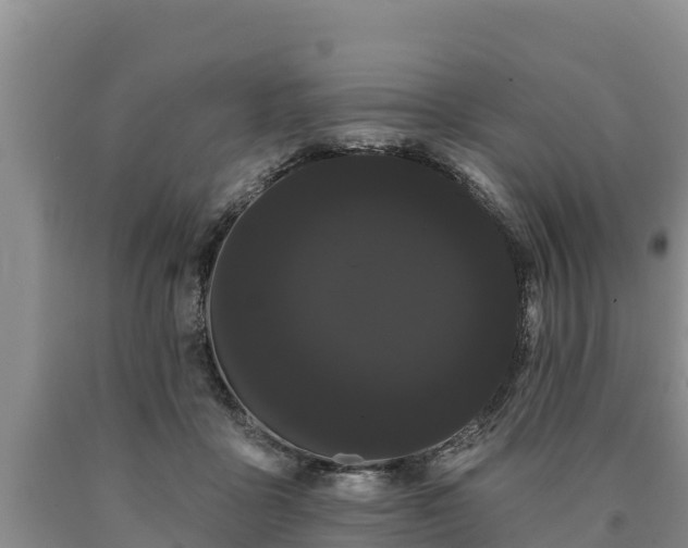 X0000090710411200707271135