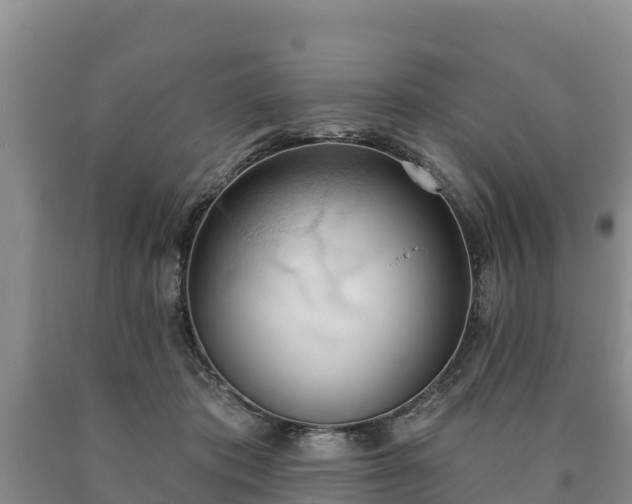 X0000090710413200707271135