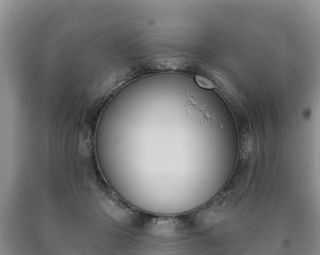 X0000090710414200707271135