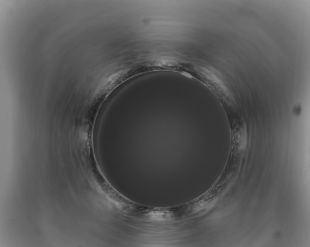 X0000090710415200707271135