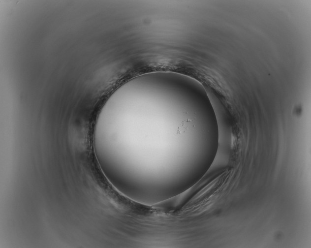 X0000090710416200707271135