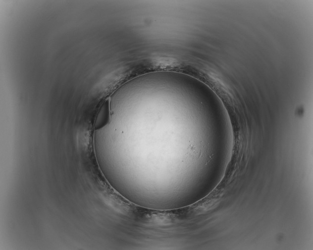 X0000090710417200707271135