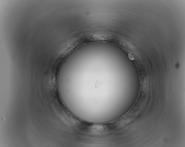 X0000090710418200707271135