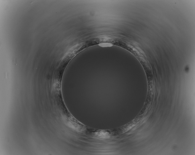 X0000090710419200707271135