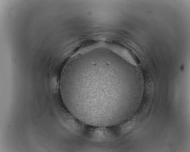 X0000090710420200707271135