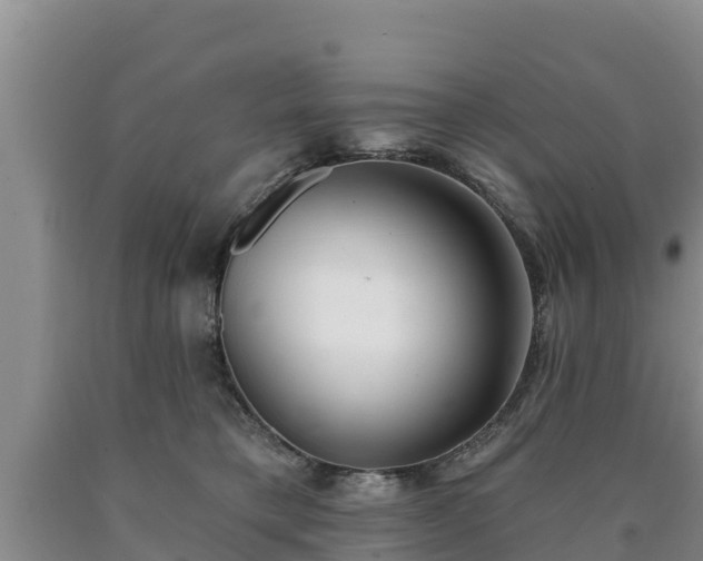 X0000090710421200707271135