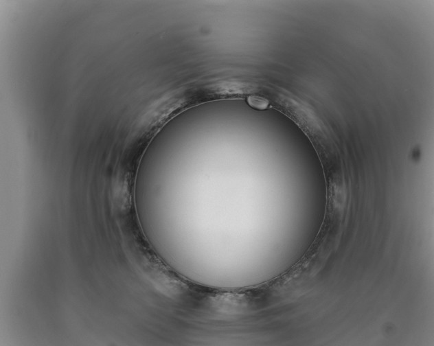 X0000090710422200707271135