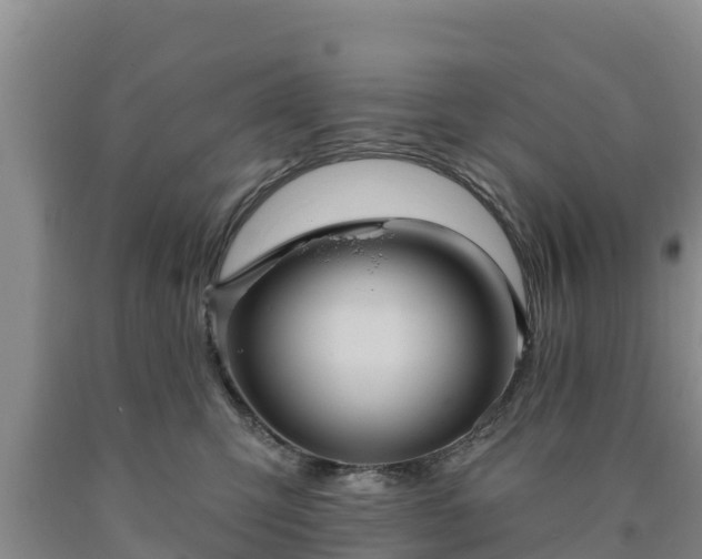 X0000090710423200707271135