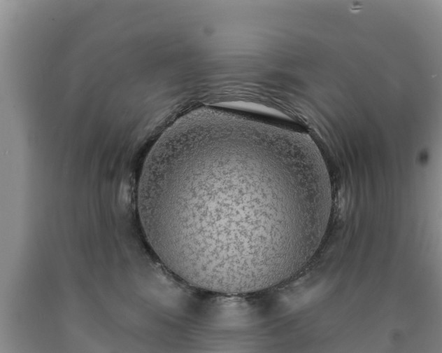 X0000090710424200707271135