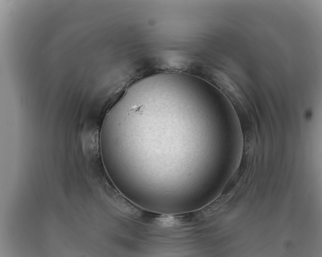 X0000090710425200707271135