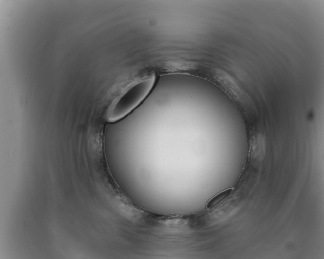 X0000090710426200707271135