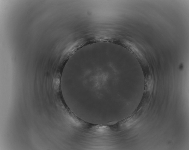 X0000090710427200707271135