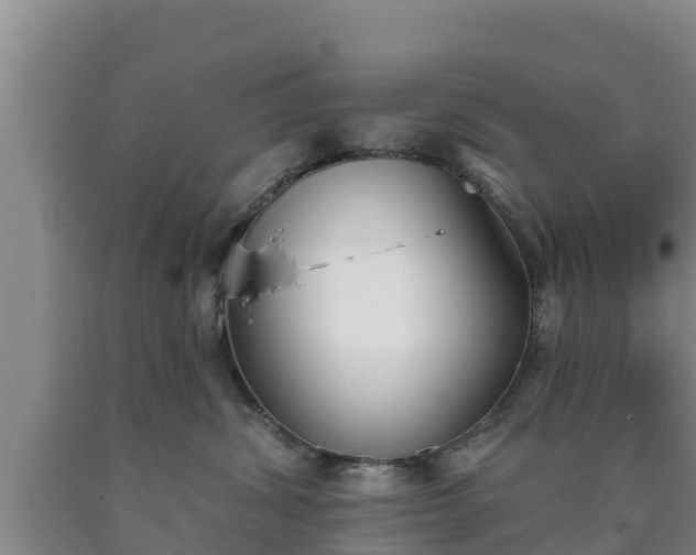 X0000090710428200707271135