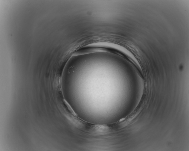 X0000090710429200707271135