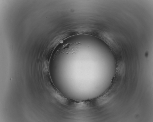 X0000090710430200707271135