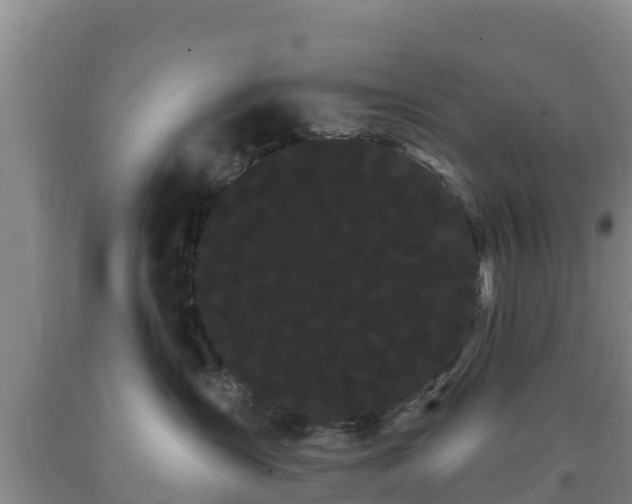 X0000090710431200707271135