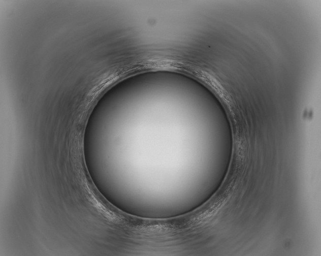 X0000090710433200707271134